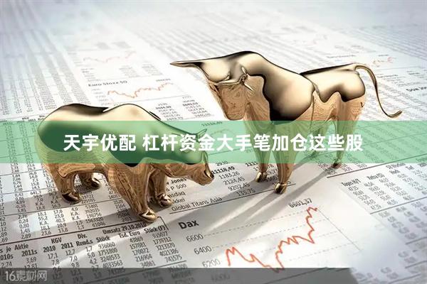 天宇优配 杠杆资金大手笔加仓这些股